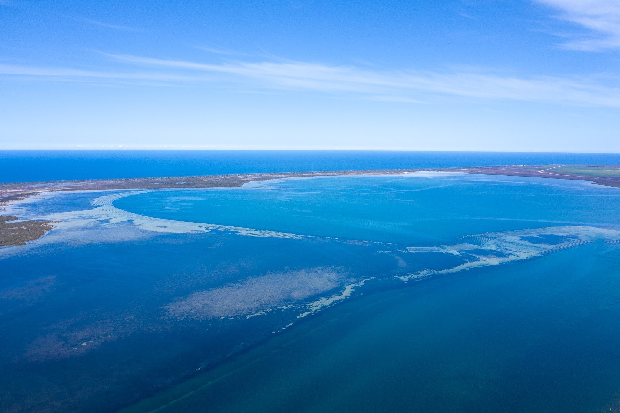 South Australia - The Home of Pacific Oysters