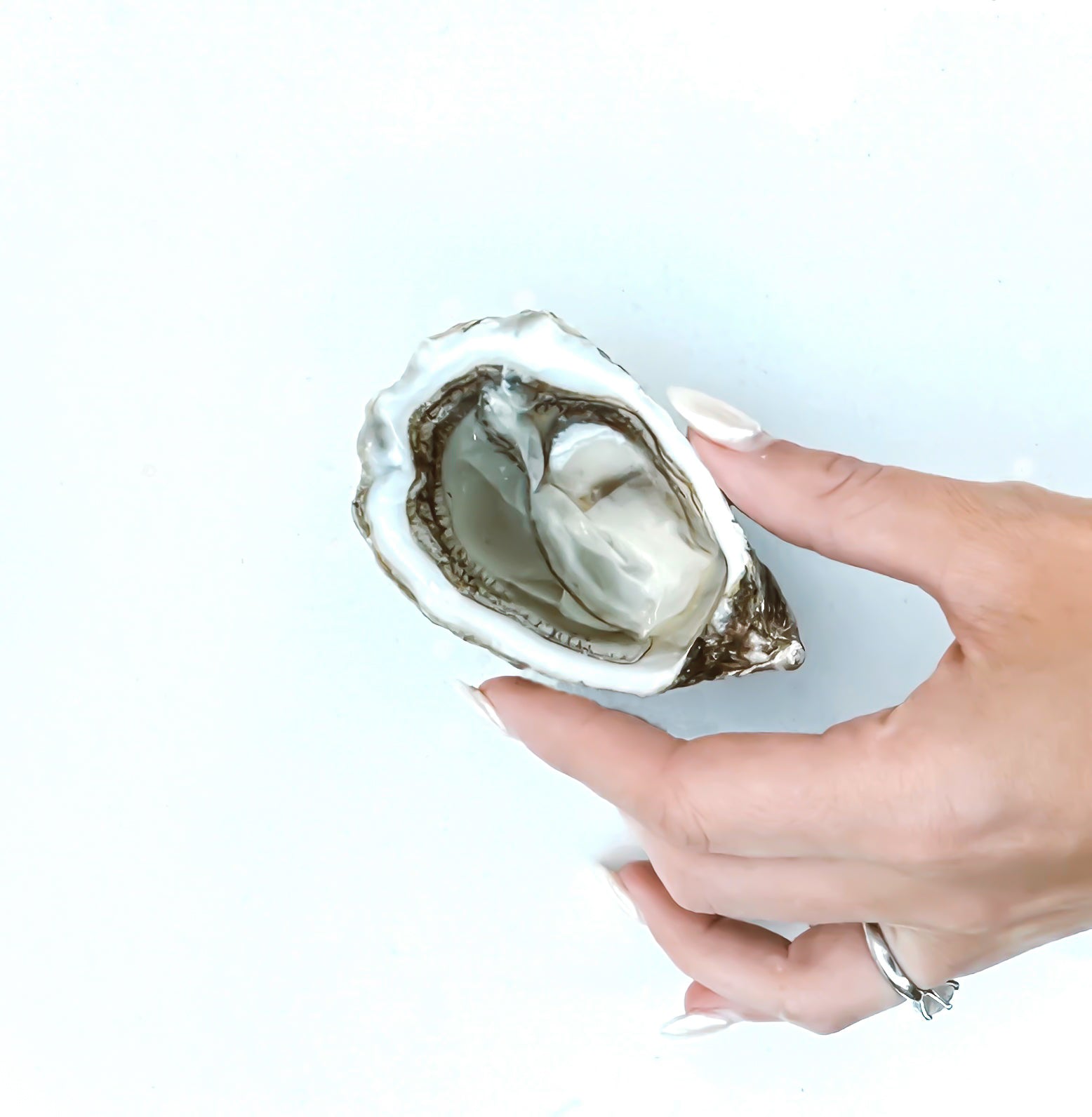 Why Oysters Are Amazing In June