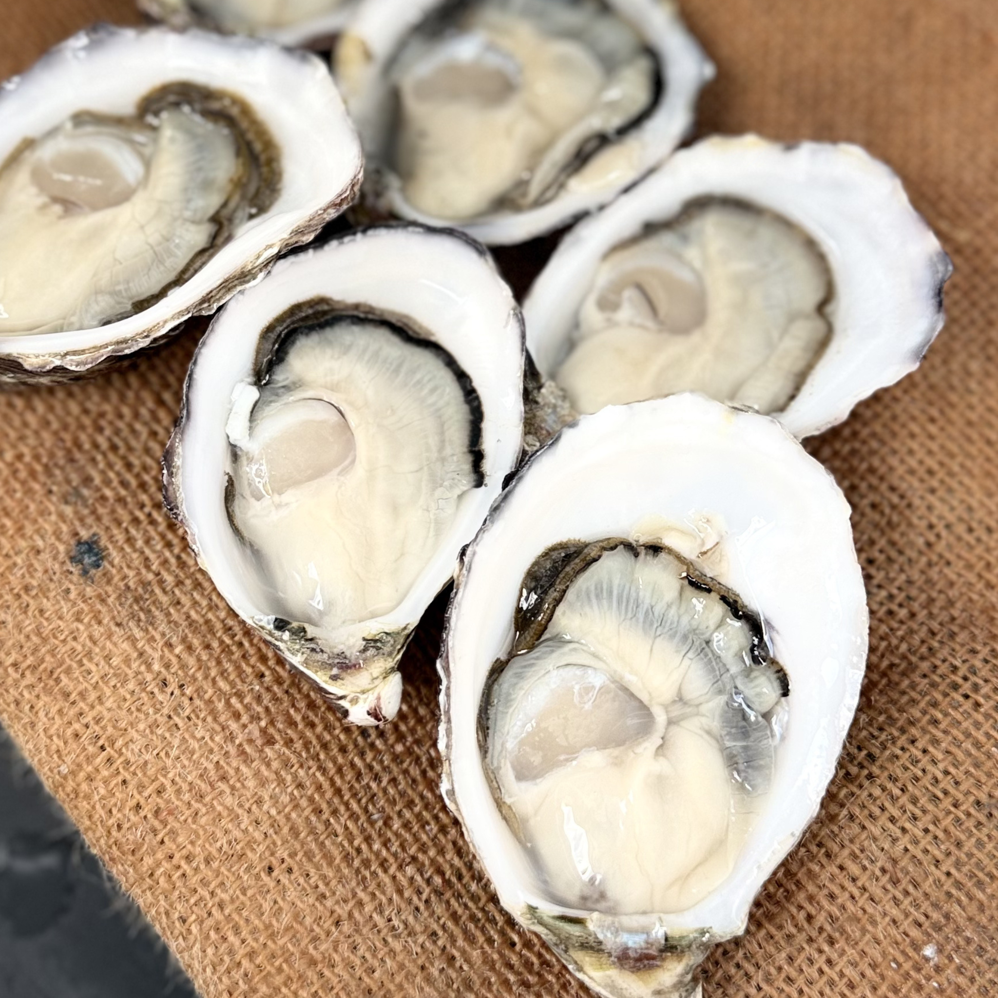 Why Christmas in July Was Made for Oysters