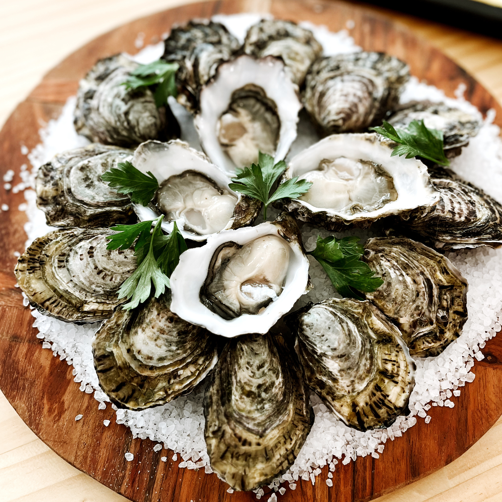 Oysters - Pacific Oyster Co.