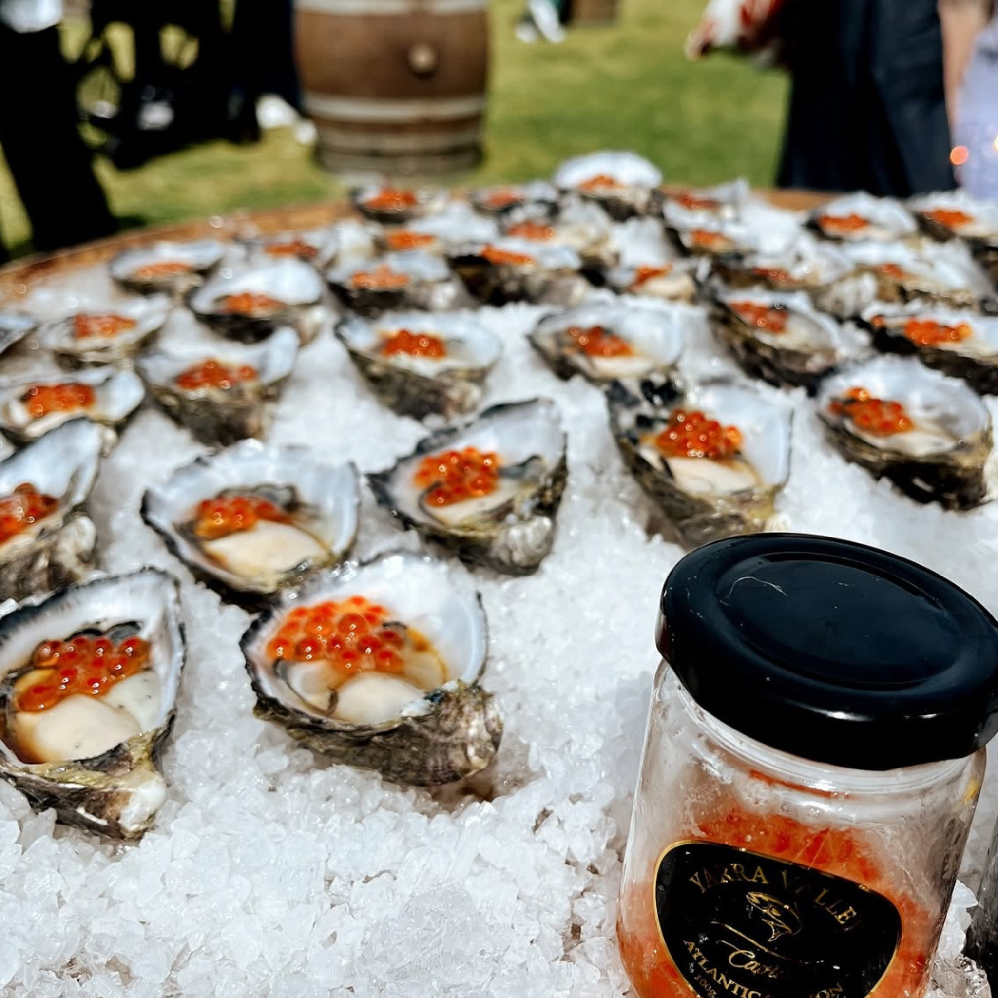 Oyster Bar at a wedding in Adelaide South Australia