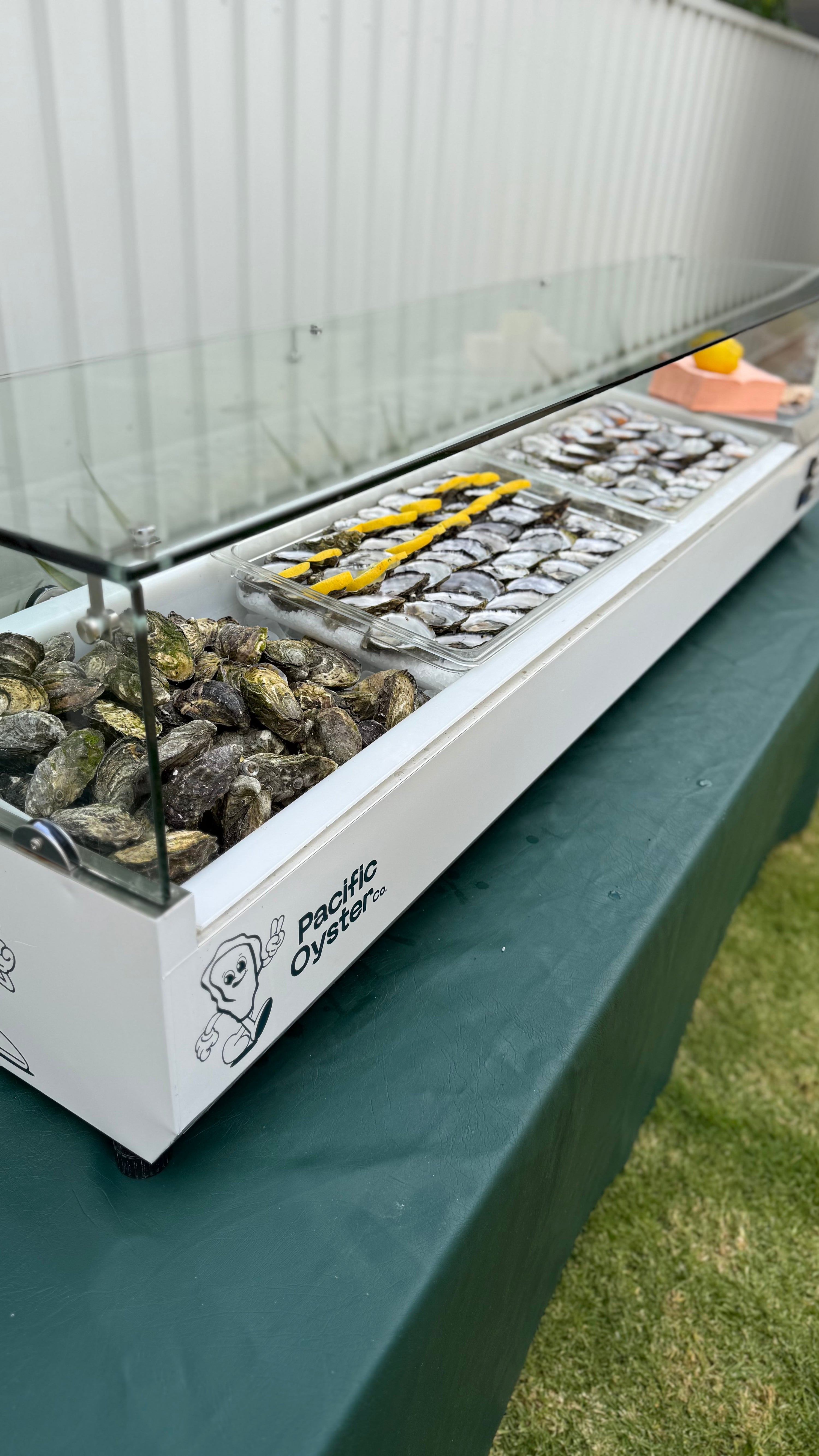 Oyster Bar at a wedding in Adelaide South Australia