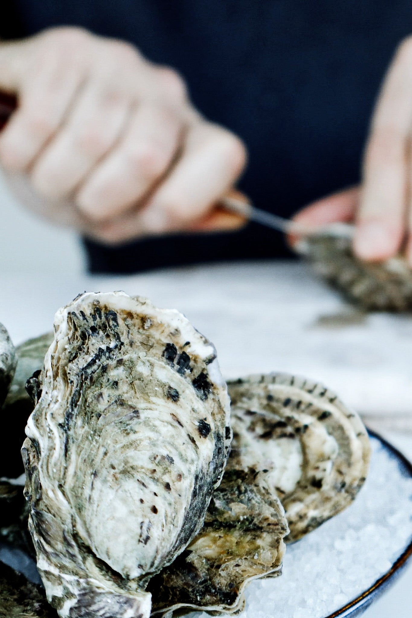 Pacific Oysters from Franklin Harbour | Shucking a Pacific Oyster | Pacific Oyster Co.