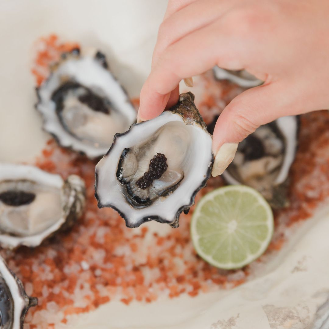 Fresh & Unshucked | Pacific Oyster Co.